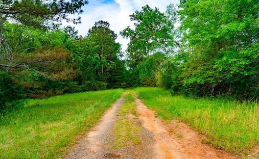 Farm Ranch in Ware Shoals, South Carolina, United States 1