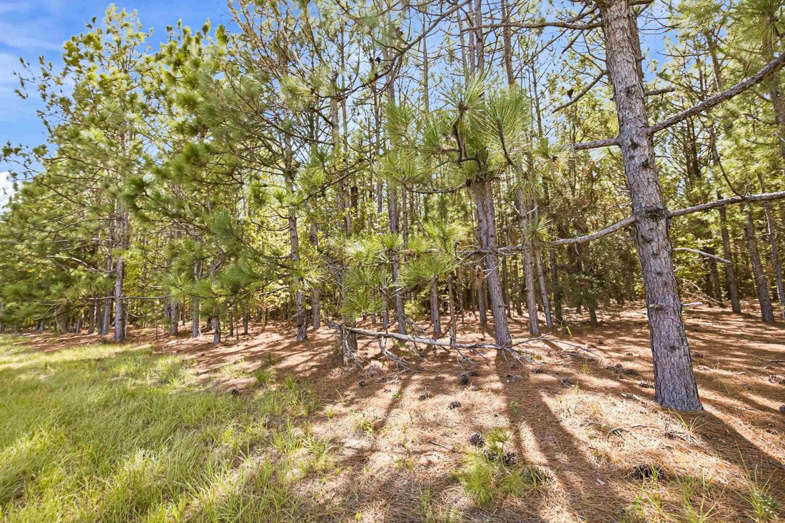 Land in Manning, South Carolina, United States 5 - 19053274