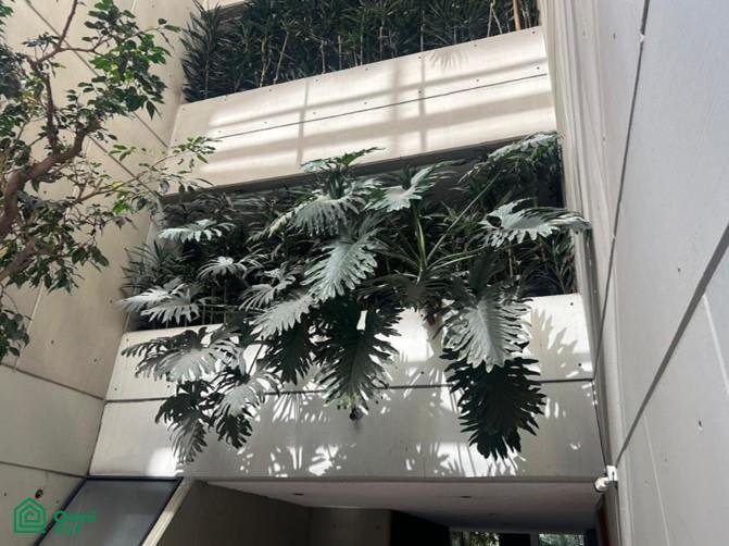 Condo in Mexico City, Mexico 4 - 19054407