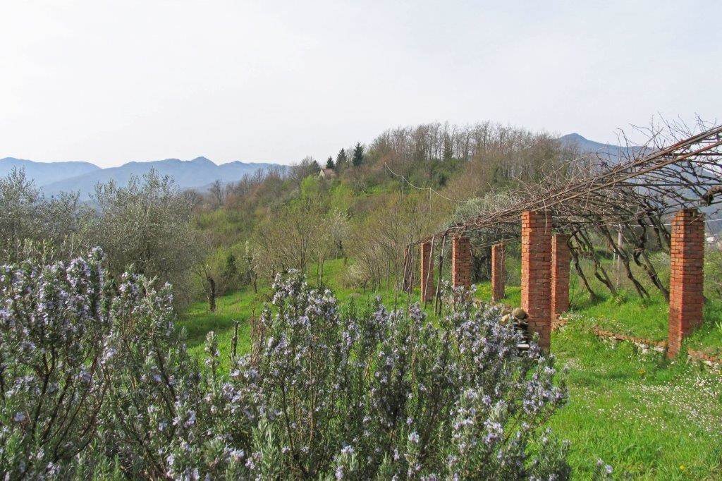 Centro, Pontremoli, Tuscany 5 - 19054321