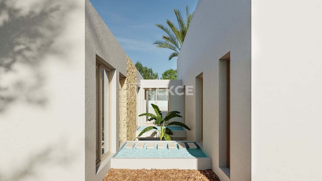 Villa in Benejuzar, Valencian Community, Spain 5 - 19053658