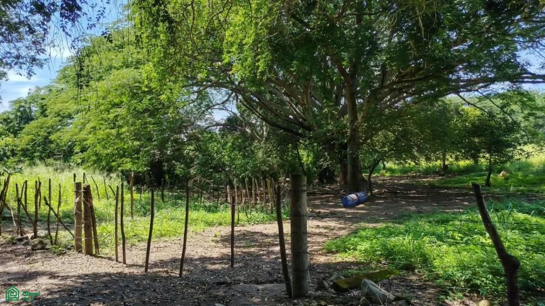 Terreno a Altozano, Colima, Messico 5 - 19054424