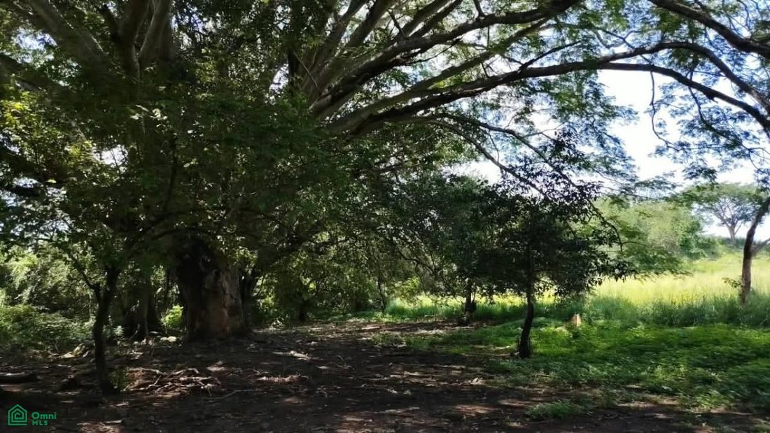 Terreno a Altozano, Colima, Messico 3 - 19054424