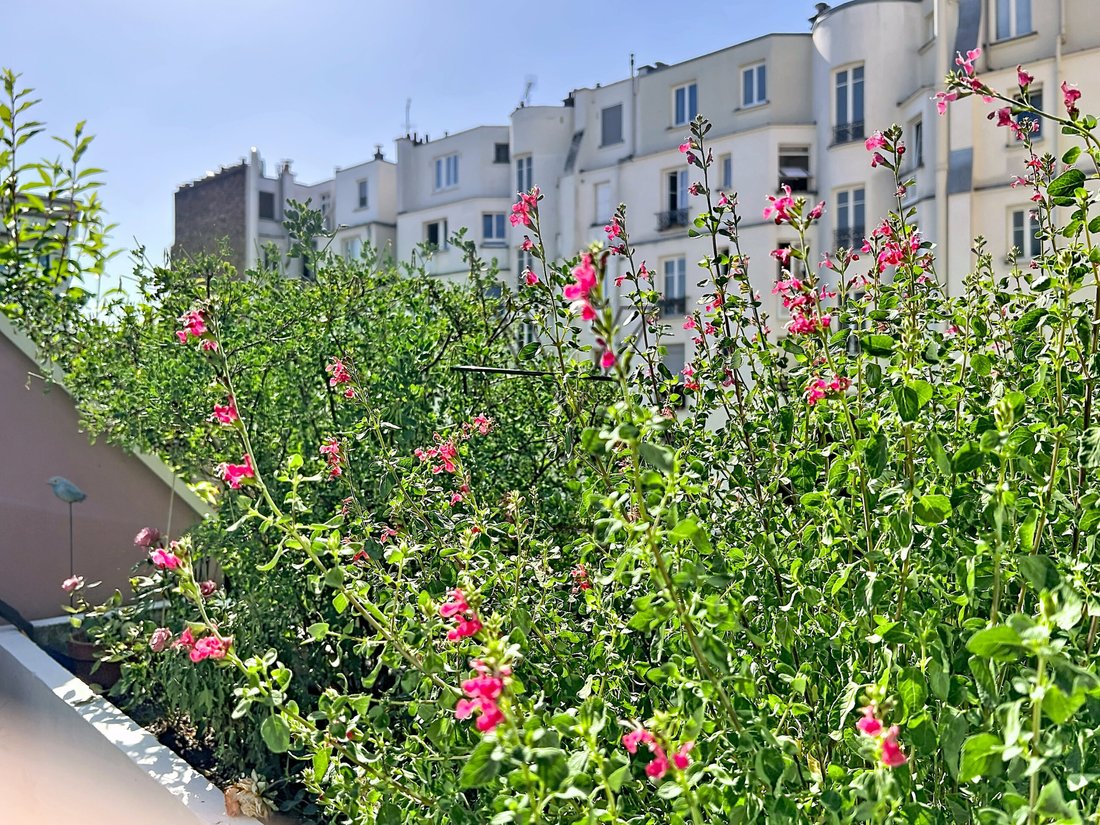 Appartamento a Palais Royal, Paris 1er Arrondissement, Parigi 4 - 19055006