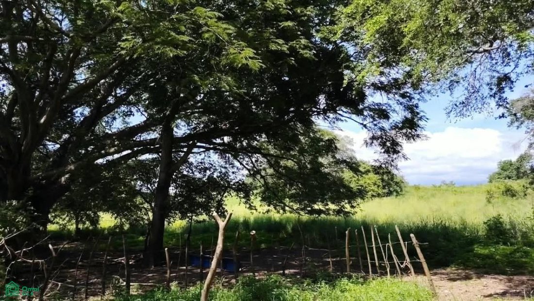 Terreno a Altozano, Colima, Messico 4 - 19054424