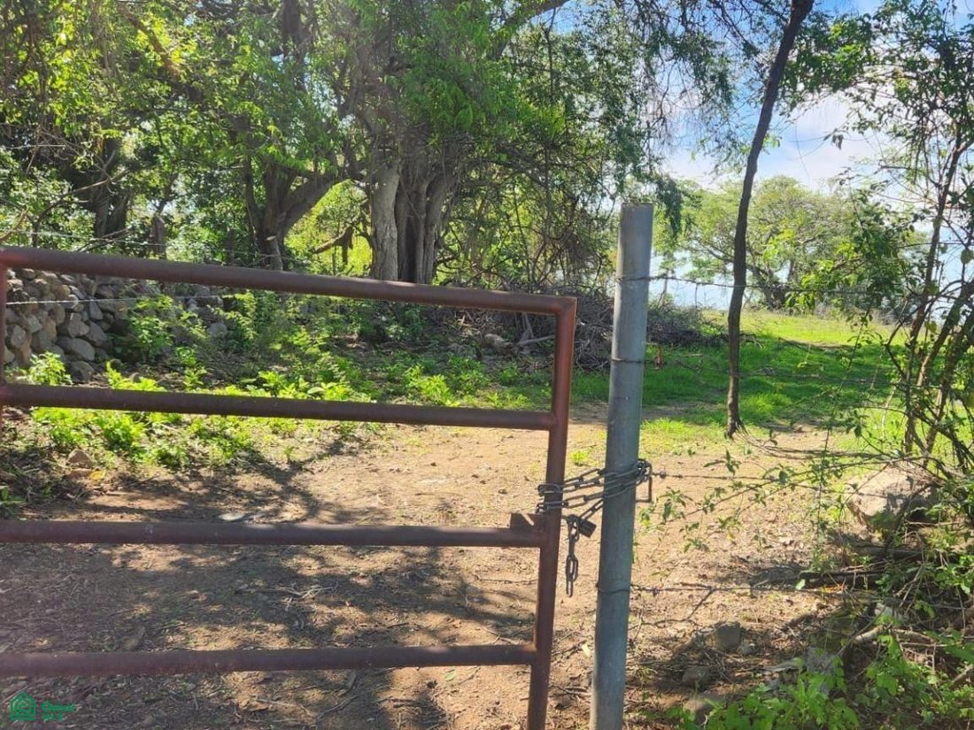 Terreno a El Chivato, Colima, Messico 3 - 19054448