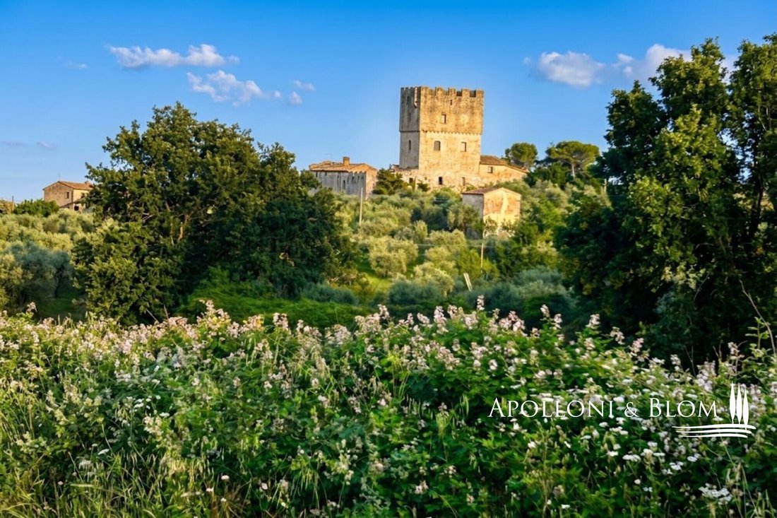 Castle in Monteriggioni, Tuscany, Italy 5 - 19054472