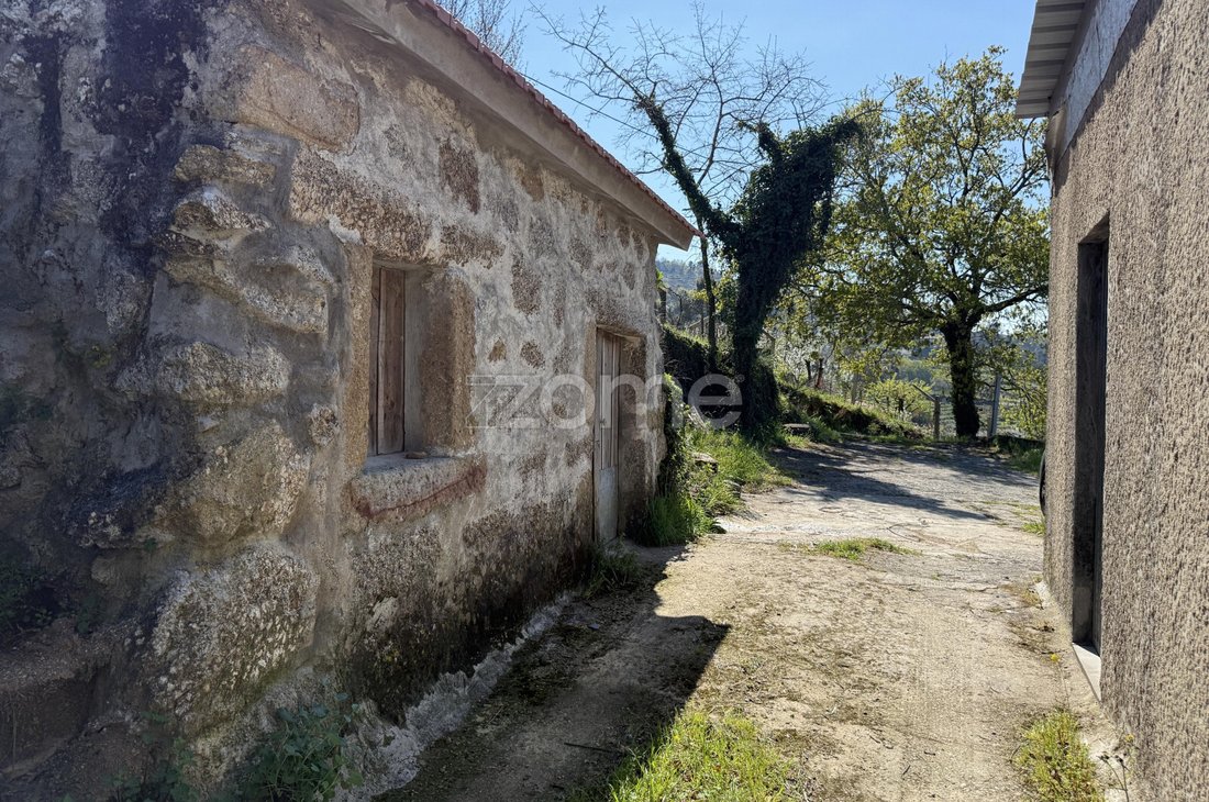 Terreno en Anreade e Sao Romao de Arego, Distrito de Viseu, Portugal 3 - 19055284