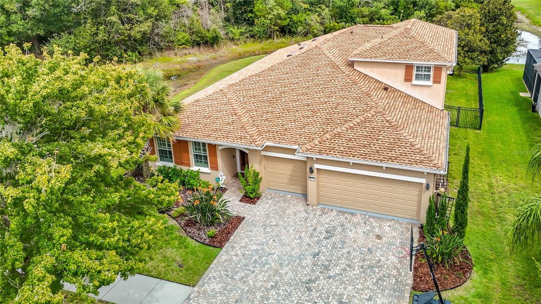 House in Land O' Lakes, Florida, United States 3 - 19056034