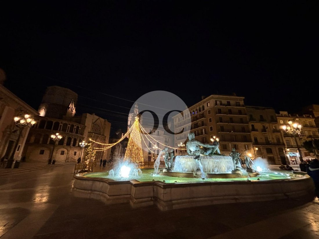 Apartment in Ciutat Vella, Valencia, Spain 4 - 19054142