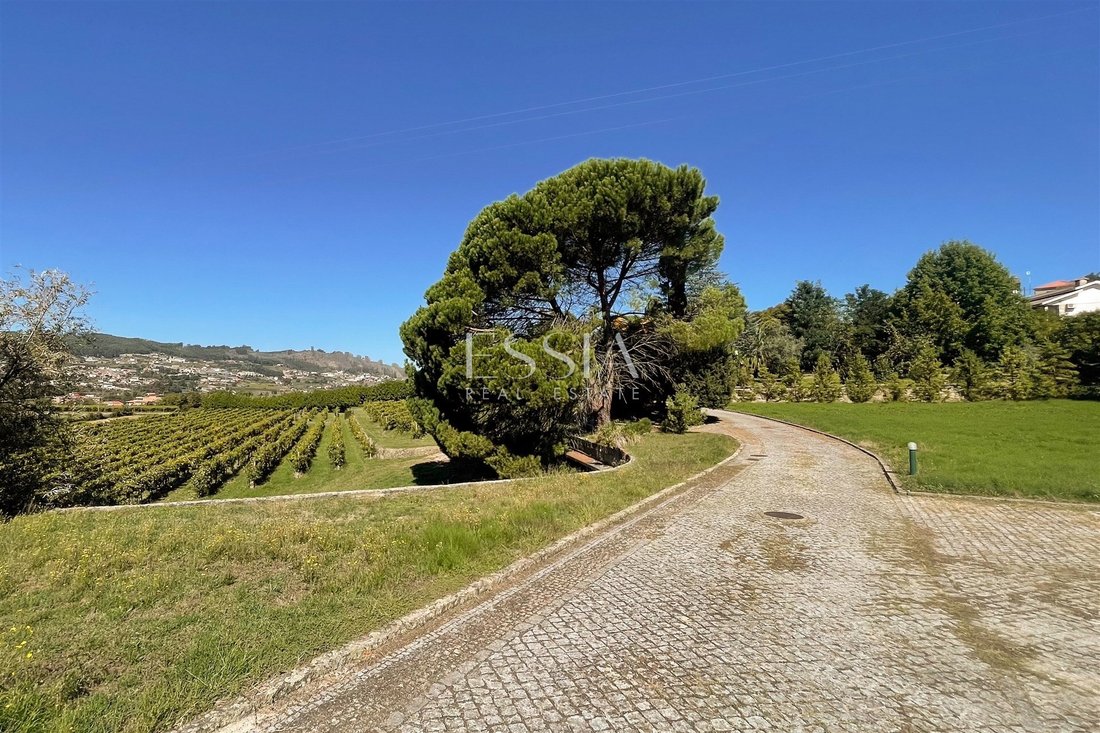 Farm Ranch in Termas de Sao Vicente, Porto District, Portugal 2 - 19054124