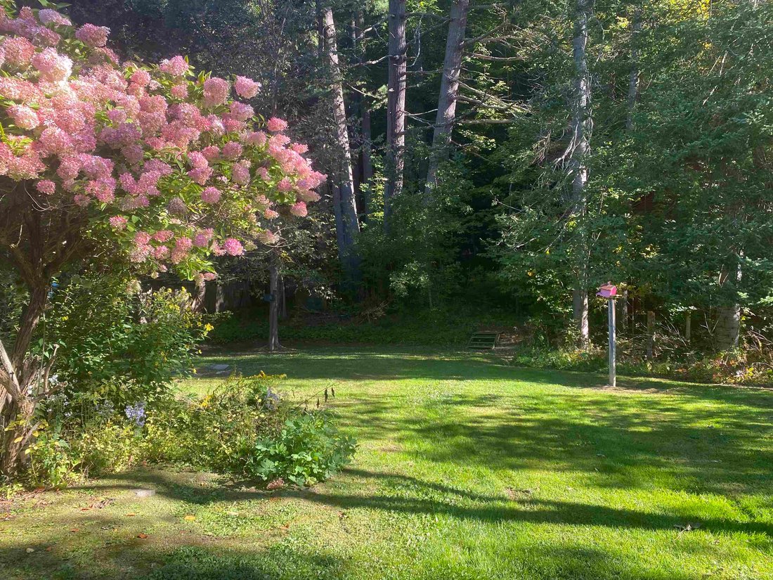 House in Woodstock, Vermont, United States 5 - 19056339