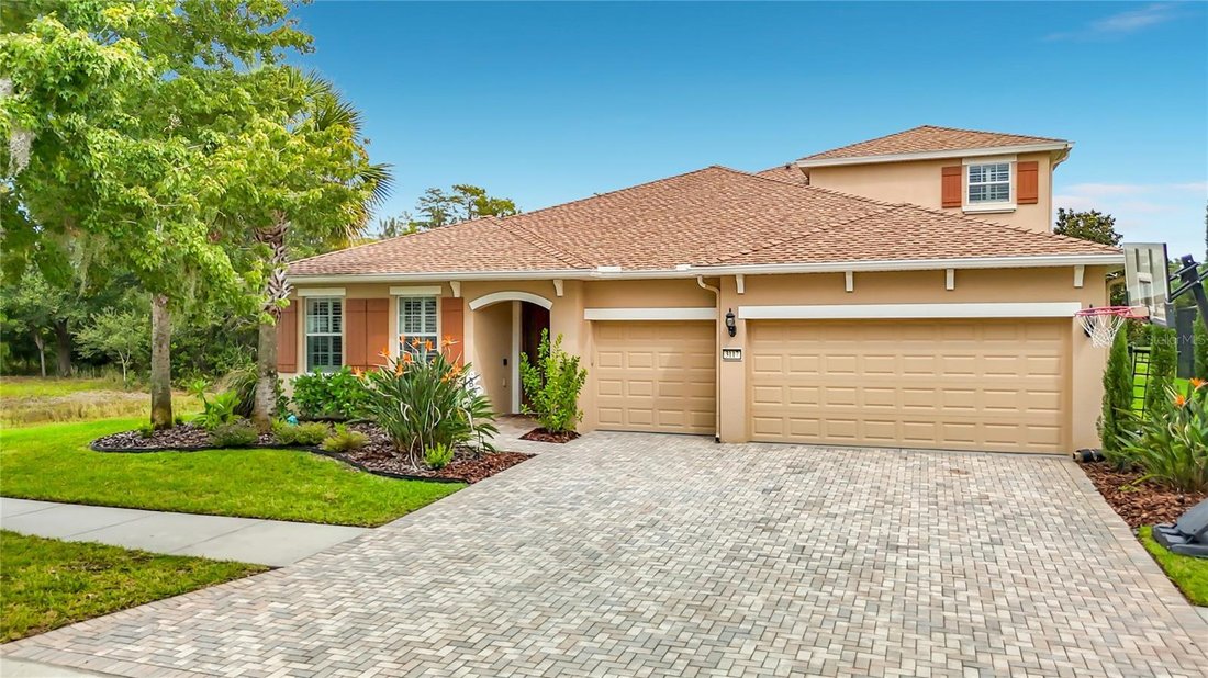 House in Land O' Lakes, Florida, United States 2 - 19056034