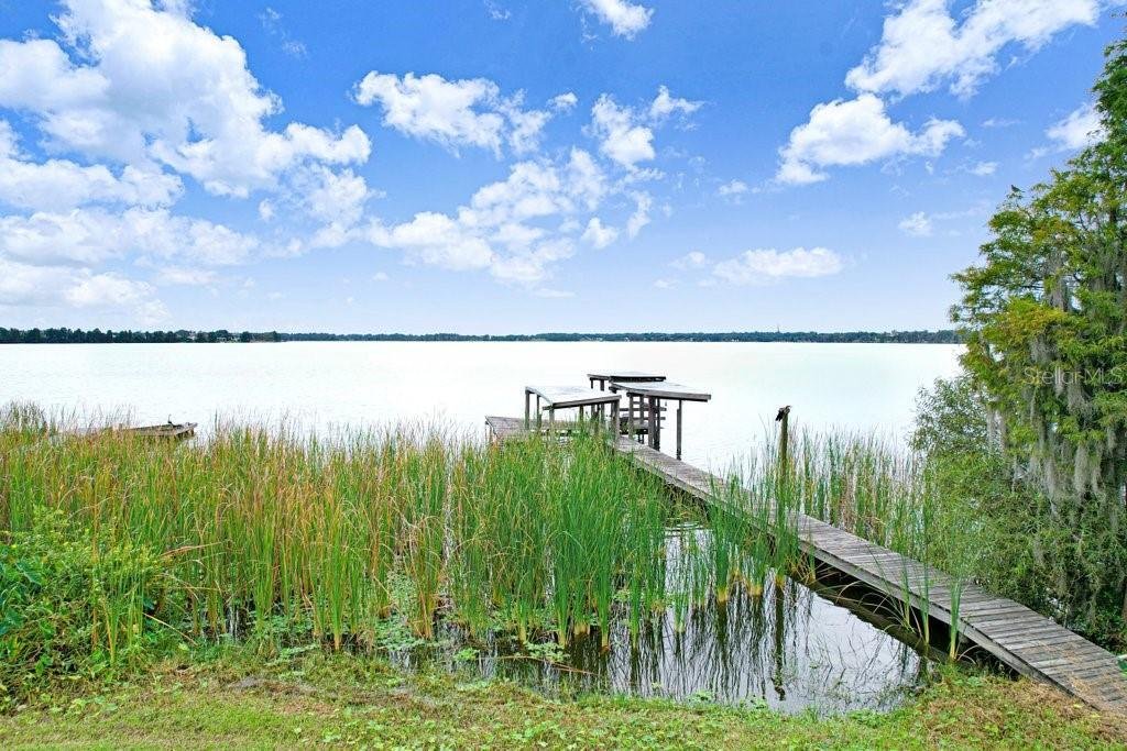 House in Thonotosassa, Florida, United States 3 - 19051216