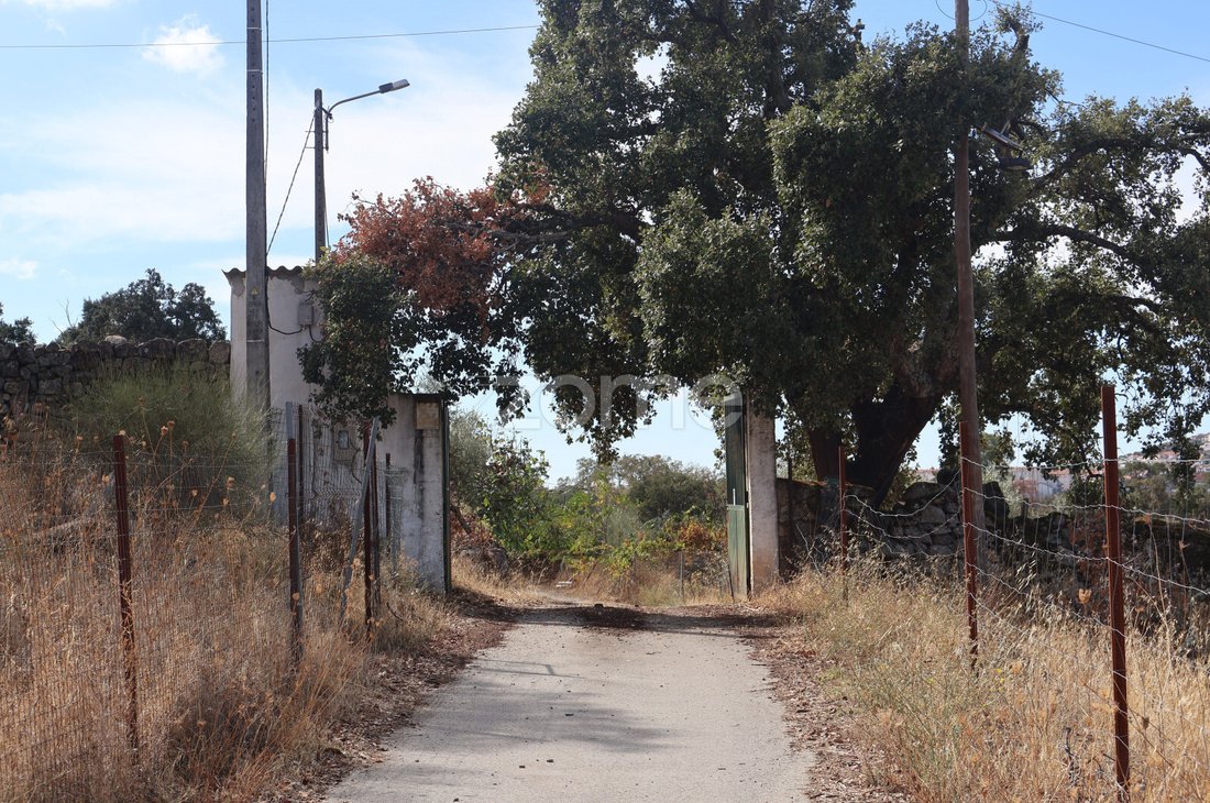 Land in Castelo Branco, Castelo Branco District, Portugal 2 - 19055369