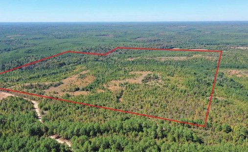 Terreno a Karnack, Texas, Stati Uniti 1