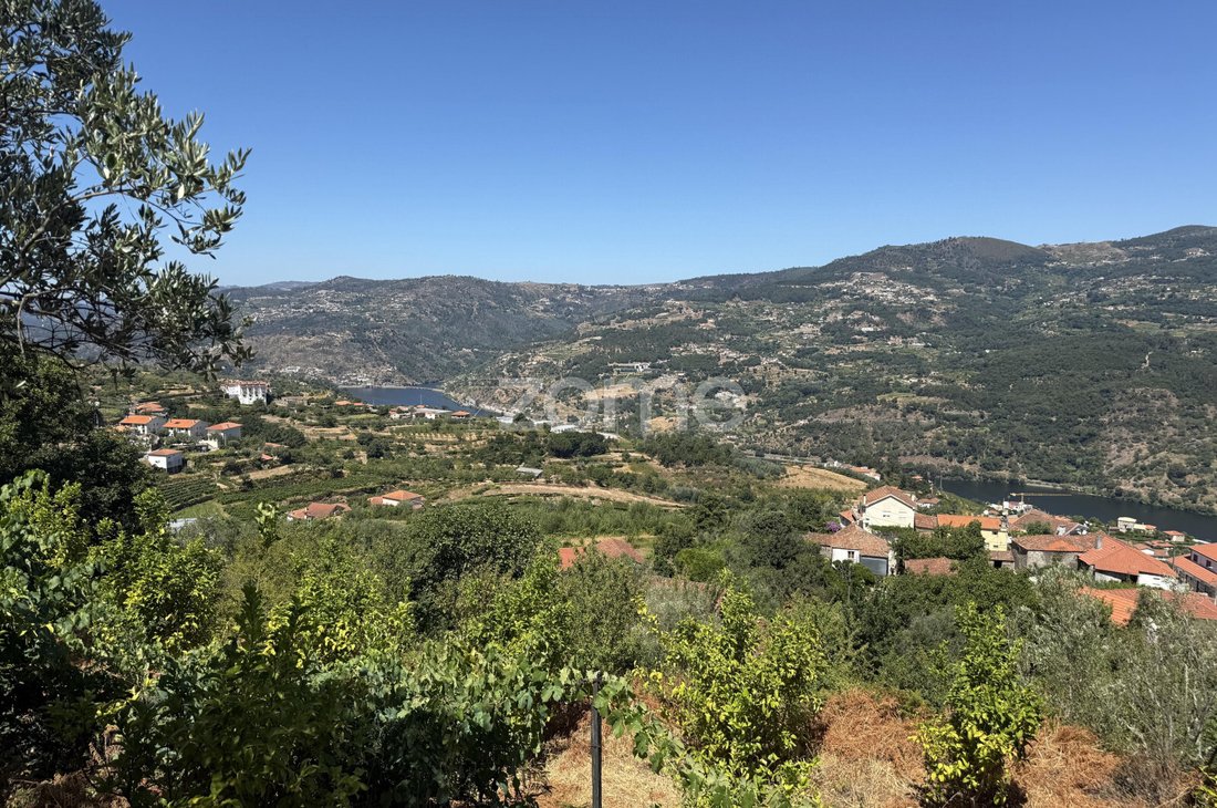 Terreno en Anreade e Sao Romao de Arego, Distrito de Viseu, Portugal 5 - 19055284