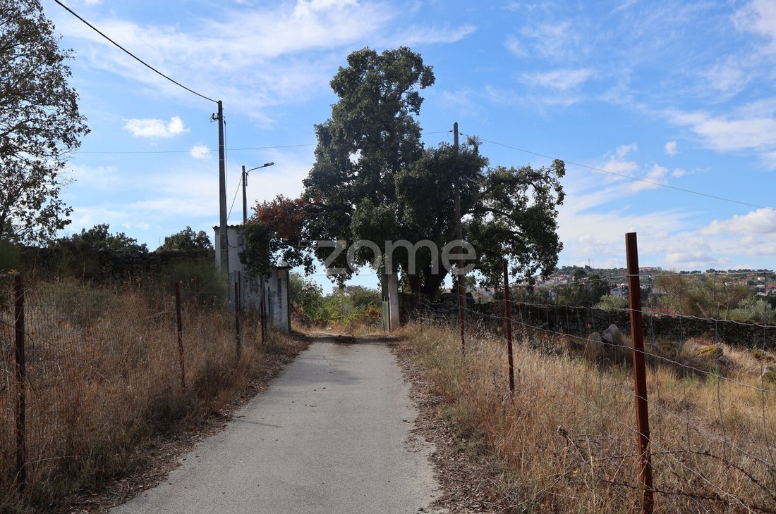 Land in Castelo Branco, Castelo Branco District, Portugal 3 - 19055369
