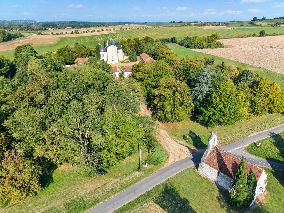 Chateau in Razines, Centre-Val de Loire, France 2 - 19052440