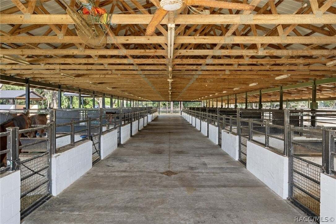 Altro a Marion Oaks, Florida, Stati Uniti 3 - 19056044