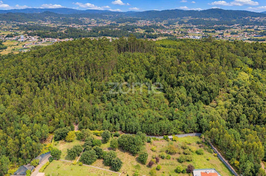 Land in Tamel (Santa Leocadia), Braga, Portugal 2 - 19055400