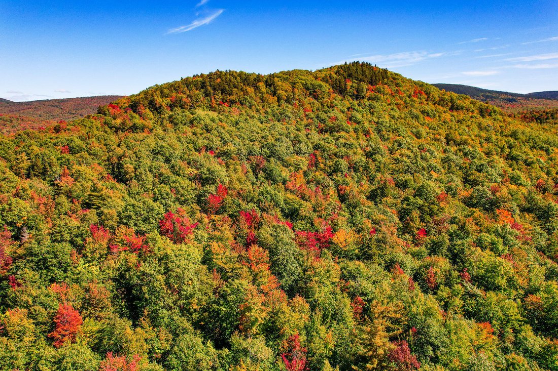Land in Weld, Maine, Vereinigte Staaten 3 - 19056062