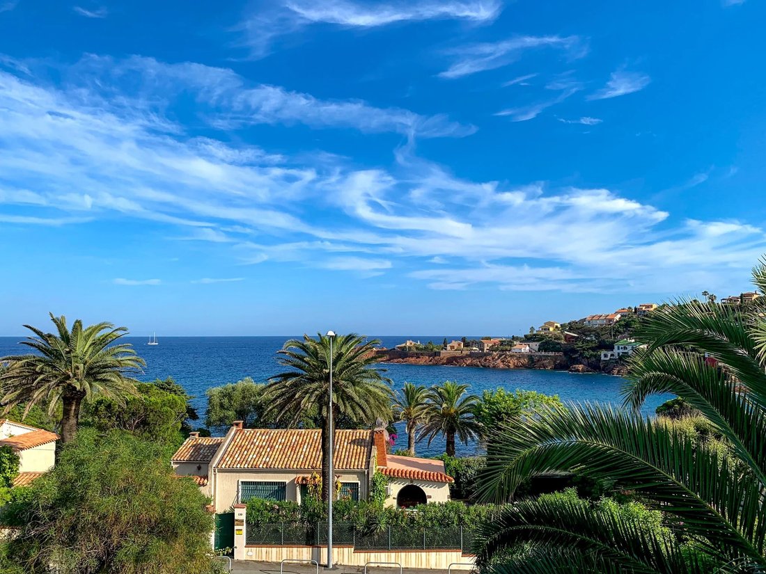 Villa in Le Dramont-Agay-Anthéor-Le Trayas, Saint-Raphaël, France 5 - 19051311