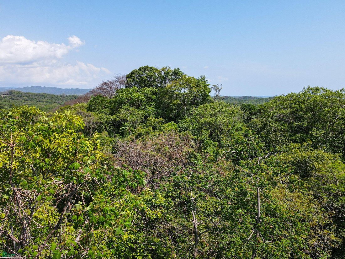 Terrain à Tamarindo, Guanacaste, Costa Rica 2 - 19054426