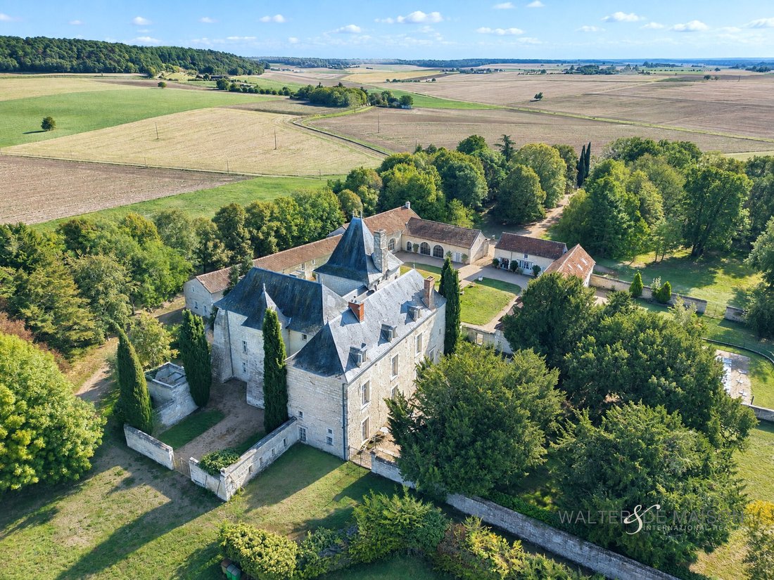Chateau in Razines, Centre-Val de Loire, France 1 - 19052440