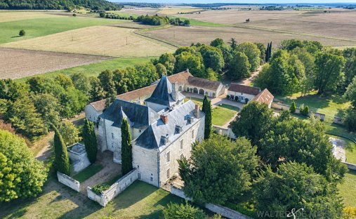 Chateau in Razines, Centre-Val de Loire, France 1