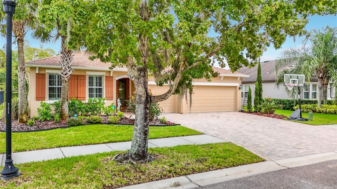 House in Land O' Lakes, Florida, United States 4 - 19056034