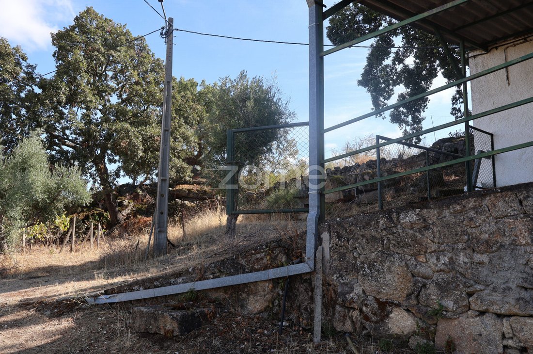 Land in Castelo Branco, Castelo Branco District, Portugal 5 - 19055369