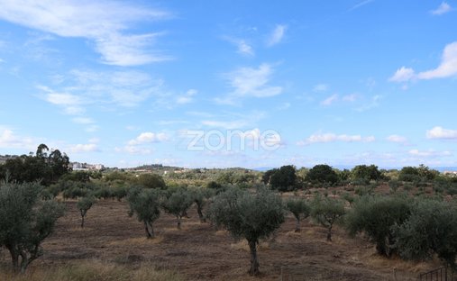 Land in Castelo Branco, Castelo Branco District, Portugal 1