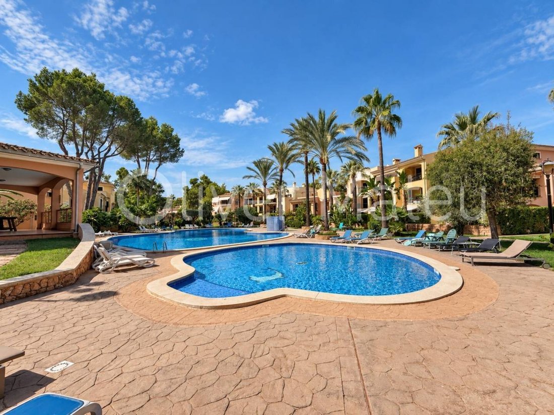 Apartment in Santa Ponsa, Balearic Islands, Spain 3 - 19054151