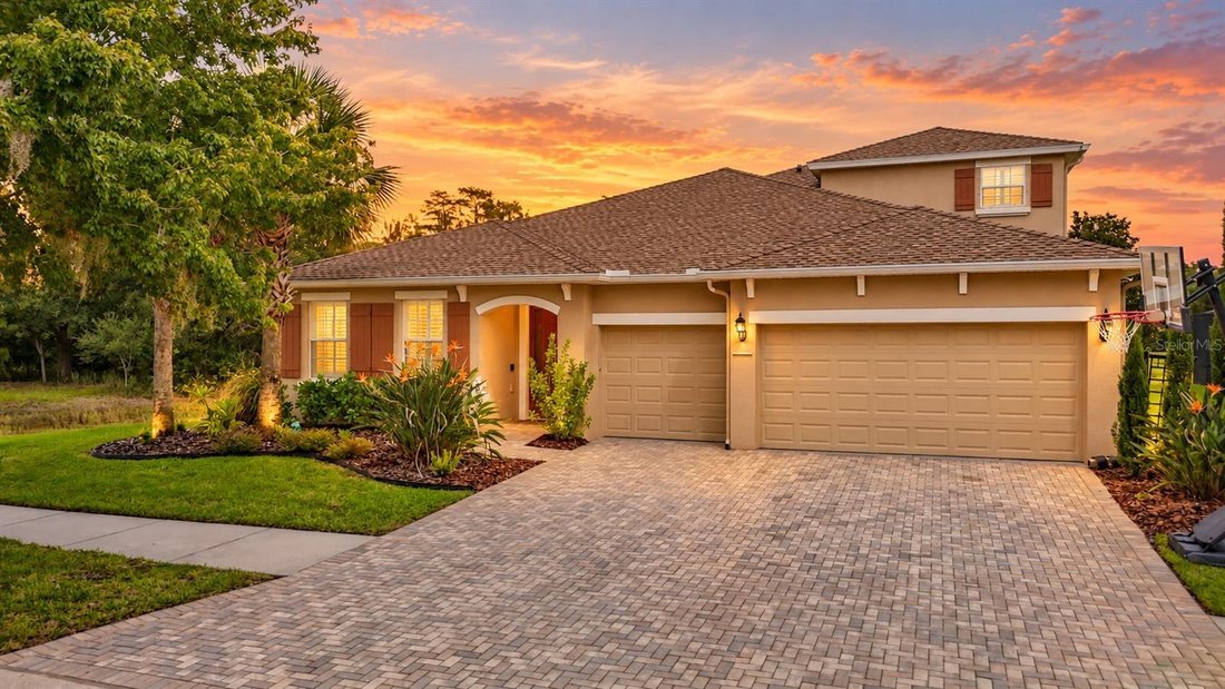House in Land O' Lakes, Florida, United States 1 - 19056034