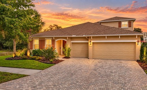 Casa a Land O' Lakes, Florida, Stati Uniti 1