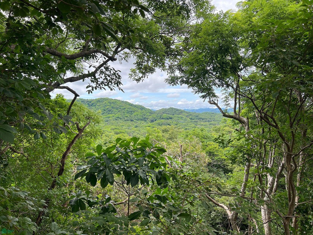 Terrain à Tamarindo, Guanacaste, Costa Rica 4 - 19054426
