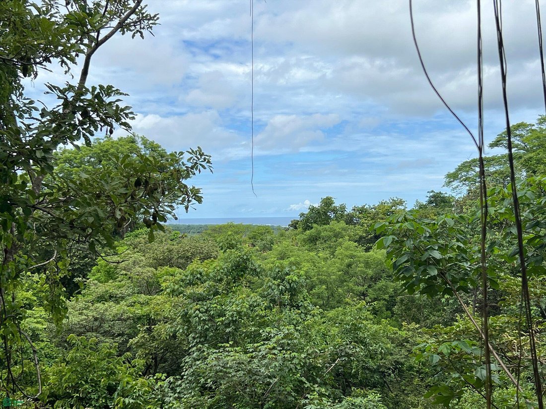 Terrain à Tamarindo, Guanacaste, Costa Rica 1 - 19054426