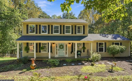 House in Jeffersonton, Virginia, United States 1