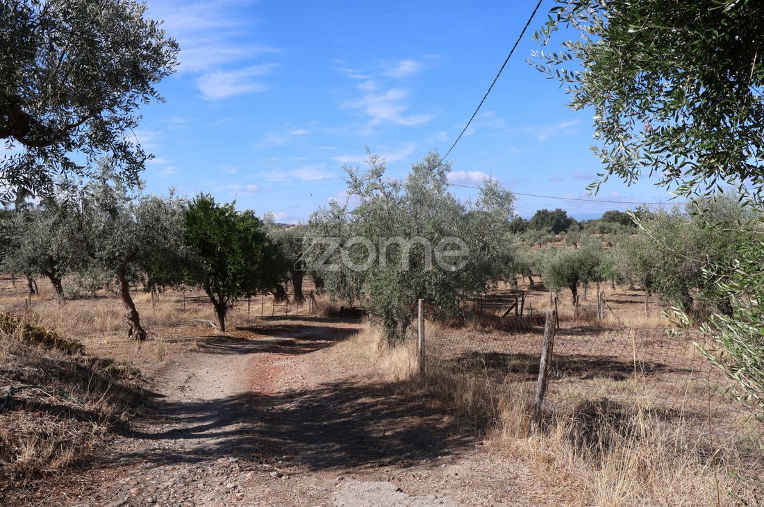 Land in Castelo Branco, Castelo Branco District, Portugal 4 - 19055369