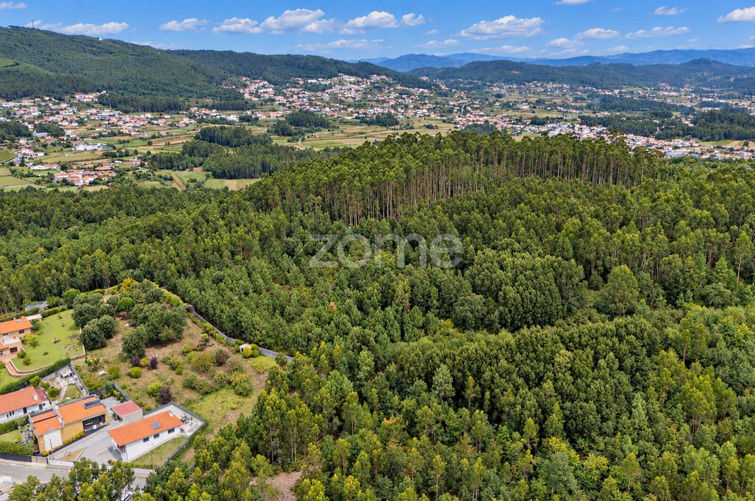 Land in Tamel (Santa Leocadia), Braga, Portugal 5 - 19055400