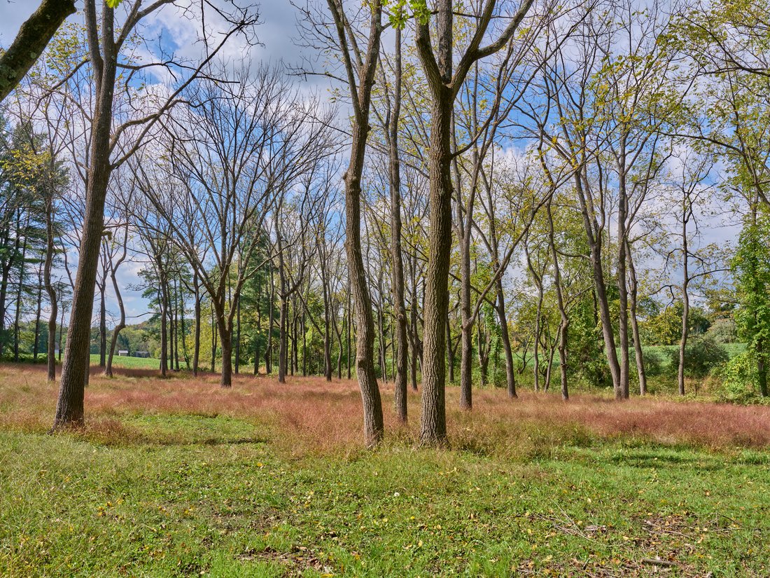 House in Solebury, Pennsylvania, United States 1 - 19051643