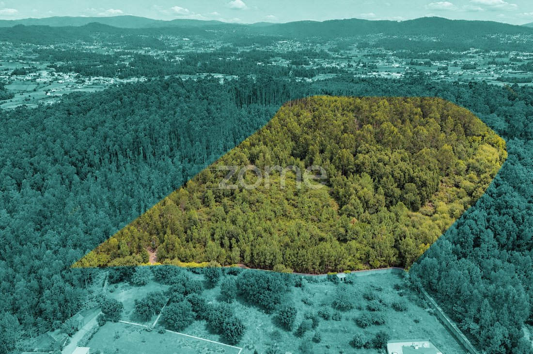 Land in Tamel (Santa Leocadia), Braga, Portugal 1 - 19055400