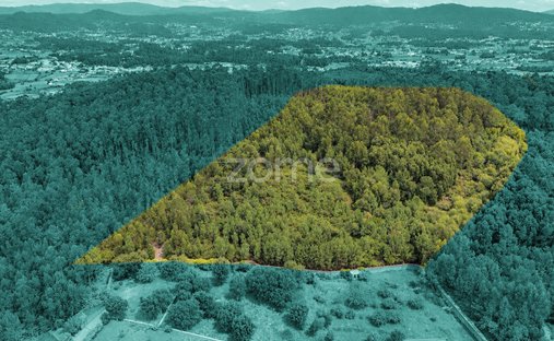 Land in Tamel (Santa Leocadia), Braga, Portugal 1