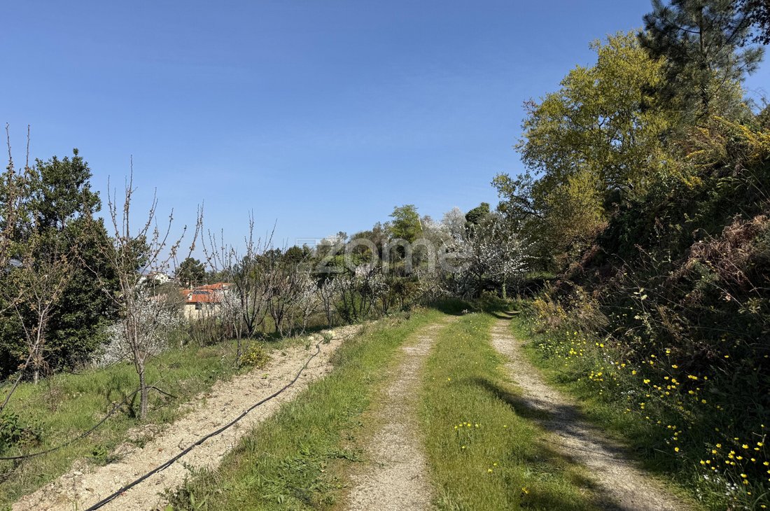 Terreno en Anreade e Sao Romao de Arego, Distrito de Viseu, Portugal 2 - 19055284