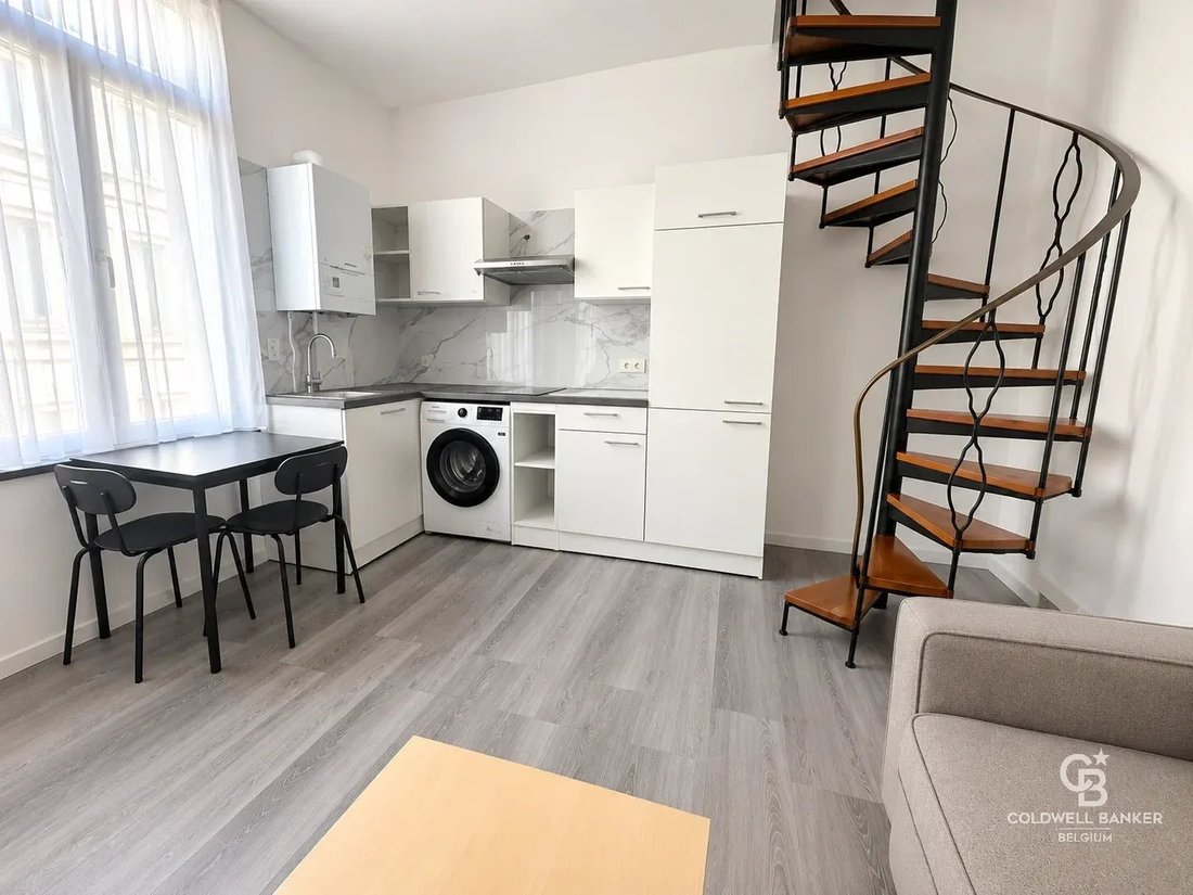 Elsene, Brussels, Belgium 2 - 19051069