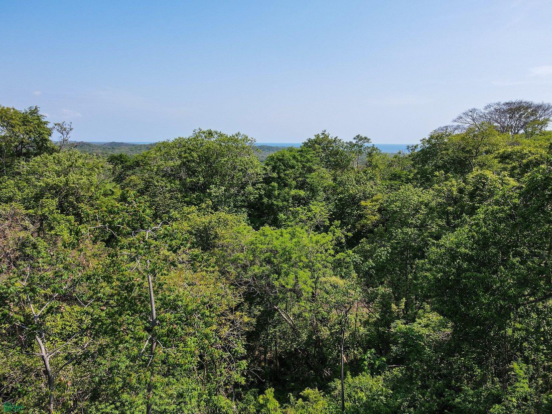 Terrain à Tamarindo, Guanacaste, Costa Rica 3 - 19054426