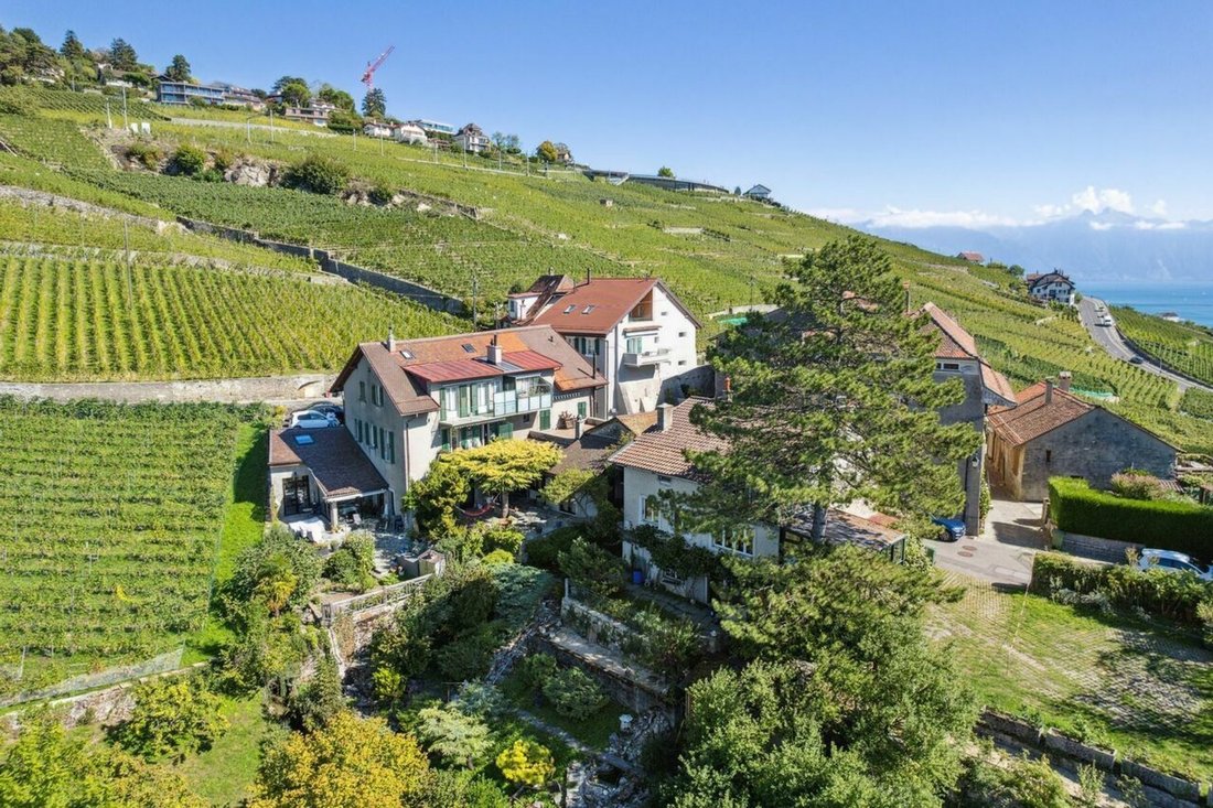 Apartment in Grandvaux, Bourg-en-Lavaux, Switzerland 1 - 19056622