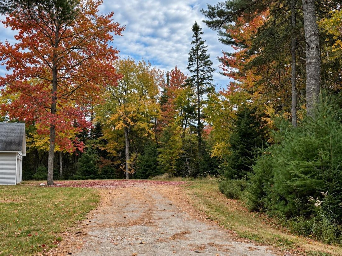 Casa a Trenton, Maine, Stati Uniti 3 - 17963420