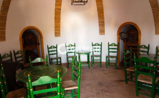 Villa in Medina Sidonia, Andalusia, Spain 1